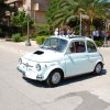 Montevago 2010 (217)